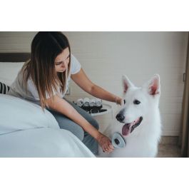 Hunter Cepillo Cardar Autolimpiable para Perros Talla S, Púas Acero Inoxidable. Elimina Pelo Muerto y Subpelo, Mango Ergonómico Marrón.