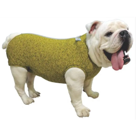 Body Regular Post-Quirurgico Bulldog Ingles M 1Ud Petmed Body Regular Post-Quirurgico Bulldog Ingles M 1Ud Petmed Precio: 51.79000013. SKU: B1882BWJGH