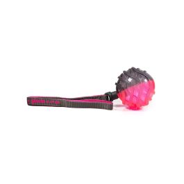 Gloria Pelota Honda Interactiva On-Off con Sonido para Perros Play And Run, Talla L, Gris y Rosa, 8.89 cm (Evita Destrucción)