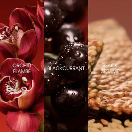 Perfume Mujer Calvin Klein EUPHORIA 50 ml