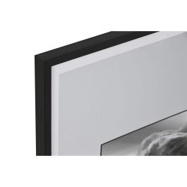 DKD Home Decor Cuadro Decoración Vintage en Lienzo y PS Diseño "Animal Bañera" Blanco y Negro 60x45x2.2 cm - Pack de 4 Unidades con Diseños Variados