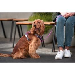 Red Dingo Arnés Acolchado para Perro XL Morado, Ajustable, Reflectante, con Anillas D y Hebillas Gemelas para Fácil Puesta, Nylon