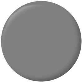 RIPOLIN Pintura Terciopelo Color para Paredes, Carpintería de Radiadores - Gris Pizarra