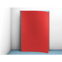 Liderpapel Tapas Polipropileno A4 0.8mm Rojo Opaco Paquete 50 Unidades