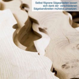 Scheppach Sierra de cinta HBS25 - 80 mm - SCH4046664231295