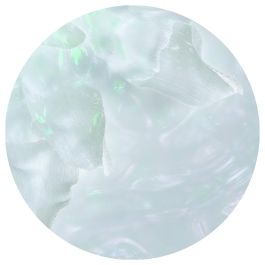 Helena Rubinstein POWERCELL SKINMUNITY Emulsion Antiedad para Pieles Grasas 75 ml