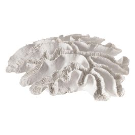 Figura Decorativa Blanco Coral Precio: 21.78999944. SKU: B17XECE4Z9