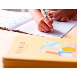 Rubio Cuaderno Competencia Matemática 6 6º Primaria A4