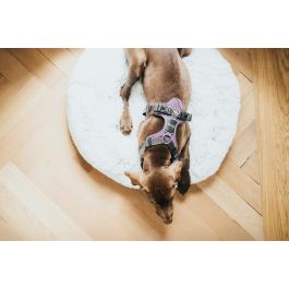 Arnés para Perro Hunter Divo Morado L/XL 79-107 cm Arnés para Perro Hunter Divo Morado L/XL 79-107 cm