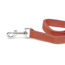 Gloria Correa Oasis para Perro de Cuero Alta Calidad Costuras Reforzadas y Mosquetón Retráctil Robusto 100 cm x 21 mm Rojo