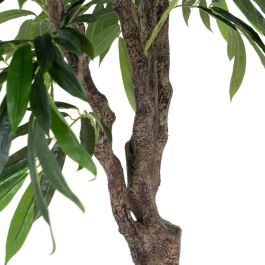 Planta Eucalipto Verde 105 X 100 X 160 cm