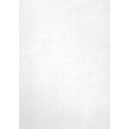 Apli Papel Textura Verjurado Blanco 220 gr A4 - 20 Hojas Precio: 7.49999987. SKU: B1EERGSYM3
