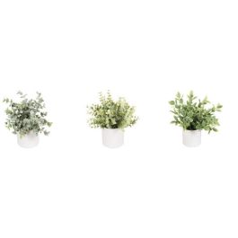 Planta  DKD Home Decor Verde 15 x 20 x 15 cm (6 Unidades) Precio: 39.95000009. SKU: B16VKSMR4F