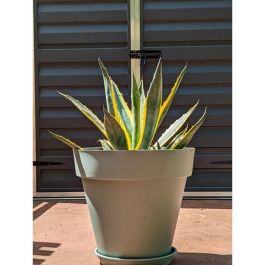 Riviera RIV3580794150725 Jardinera Redonda Plástico, Diámetro 50 cm, Verde Arcilla Precio: 32.95000005. SKU: B14L7A9VJW