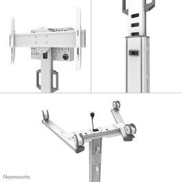 Soporte TV Neomounts FL50S-825WH1 70 Kg