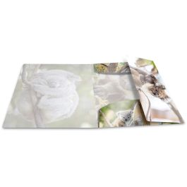 HERMA 19323 Carpeta Convencional A4 Polipropileno Koala Glossy Multicolor Brillante Cierre Banda Elástica