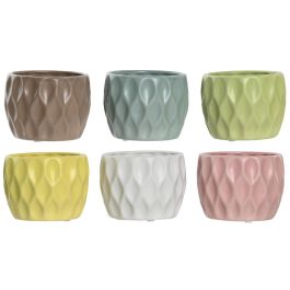 Macetero Home ESPRIT Amarillo Blanco Verde Rosa Dolomita Rombos 12 x 12 x 10 cm (6 Unidades) Macetero Home ESPRIT Amarillo Blanco Verde Rosa Dolomita Rombos 12 x 12 x 10 cm (6 Unidades) Precio: 17.5000001. SKU: B13XMJANVP
