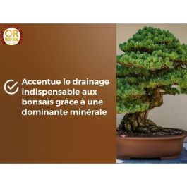 Tierra para bonsáis - BROWN GOLD - OBRTBON6U - 6L - Mejor enraizamiento Tierra para bonsáis - BROWN GOLD - OBRTBON6U - 6L - Mejor enraizamiento