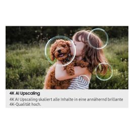 SAMSUNG GQ85QN80FAUXZG - Televisor 85" (214cm) Neo QLED 4K Ultra HD 100Hz Smart TV con Tizen, Dolby Atmos, HDR10+, AMD FreeSync Premium Pro, Wi-Fi, 4x HDMI 2.1 - Carbono Titan Grey