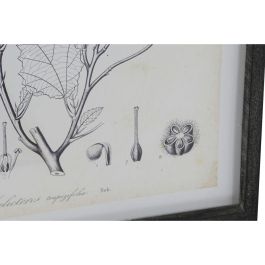 DKD Home Decor Cuadro Moderno Set 4 Unidades Negro Beige 60x45x2.5cm de Cristal y MDF con Diseño Botánico DKD Home Decor Cuadro Moderno Set 4 Unidades Negro Beige 60x45x2.5cm de Cristal y MDF con Diseño Botánico