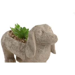 DKD Home Decor Planta Tradicional Beige Verde Resina Pe 8 x 15.5 x 31 cm (4 Unidades)