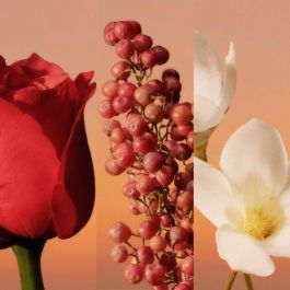 Perfume Hombre Calvin Klein 30 ml