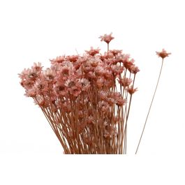 DKD Home Decor Ramo Shabby Blanco Naranja 10 x 30 x 10 cm (12 Unidades) Flor Seca