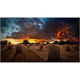 Samsung Smart Signage VM46B-U Pantalla LCD de 116.80cm(46") Full HD 1920 x 1080