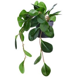 Day - Planta Artificial Peperomia