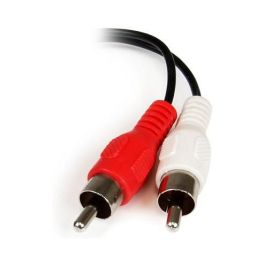 Cable Audio Jack (3,5 mm) a 2 RCA Startech MUFMRCA Negro 0,15 m