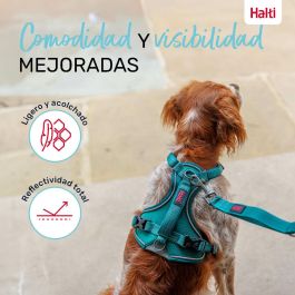 Halti Arnés Perro Anatomy Turquesa Talla L Cuerpo 60-85cm Cuello 42-65cm Acolchado Neopreno 3 Puntos Enganche Reflectante 360° Halti Arnés Perro Anatomy Turquesa Talla L Cuerpo 60-85cm Cuello 42-65cm Acolchado Neopreno 3 Puntos Enganche Reflectante 360°