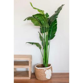 DKD Home Decor Cesta Balines Hecha a Mano con Detalle Macramé de Fibra Algodón Natural Crema 33x33x27 cm Set de 3