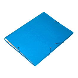 Liderpapel Carpeta Clasificadora Folio Prolongado 12 Departamentos Cartón Forrado Celeste