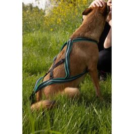 Cani C Gear AUC3760402170332 Arnés de Tracción para Perros Tipo X-back Olympia XL Azul