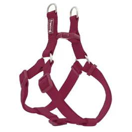 Freedog Arnés Nylon Tipo A Granate 10 mm X 20-36 cm Precio: 4.88999962. SKU: B16TWKYKCF