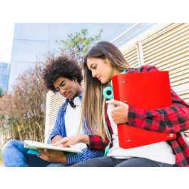 Liderpapel Carpeta 4 Anillas 40 Mm Polipropileno Din A4 Rojo Translucido