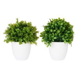 Maceta Plastico Grande Flores Verdes Surtidos Ibergarden 22X29CM (6 Unidades) Maceta Plastico Grande Flores Verdes Surtidos Ibergarden 22X29CM (6 Unidades)