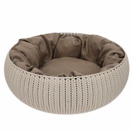 Caseta Curver Arena (Arena) Caseta Curver Arena (Arena) Precio: 47.49999958. SKU: B1A4TEBDEG