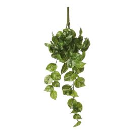 Mica Decorations Potos colgante verde 14x58x20cm Mica Decorations Potos colgante verde 14x58x20cm Precio: 16.89000038. SKU: S7910003