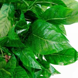 DKD Home Decor Árbol Decorativo 90 x 180 x 90 cm Verde