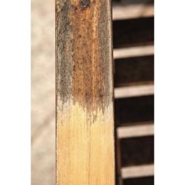 Scheppach Nylon Brush para renovador y surfacer MRS1300 Scheppach Nylon Brush para renovador y surfacer MRS1300