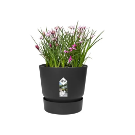Elho Greenville 47 Maceta Redonda para Exterior Ø 47 x H 44,1 cm Negro Living Plástico Reciclado Resistente a Heladas