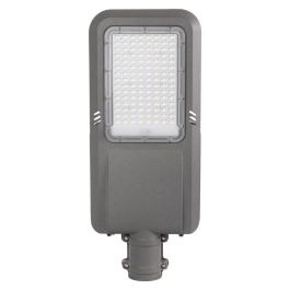 Farola LED 100W 13,943Lm 135Lm/ IP65 30,000H  [HO-LD29-100-CW]
