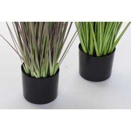 DKD Home Decor Planta Cardo Rosa Palo Lila 40 x 150 x 40 cm (2 Unidades)