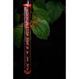 Linterna Solar Palo - GARDEN ID Cristal - 22 cm - Cambio de color - Autonomía 6-8 horas - Batería recargable. Linterna Solar Palo - GARDEN ID Cristal - 22 cm - Cambio de color - Autonomía 6-8 horas - Batería recargable.