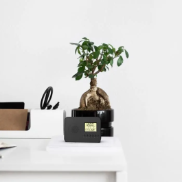 Evoom Radio Reloj Despertador Inteligente EVO3700527306148 con Visualización de Fecha, Hora, Temperatura y Humedad - Negro