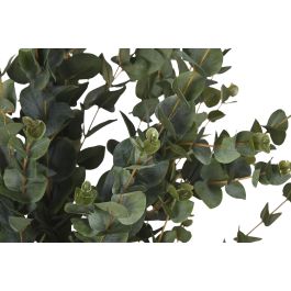 DKD Home Decor Árbol de Eucalipto Artificial PE Verde 50x50x155 cm - Pack de 2 Unidades