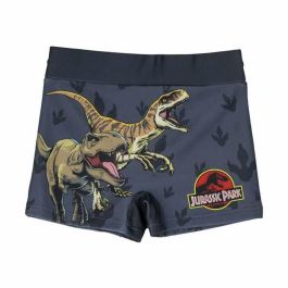 Boxer baño jurassic park talla 5 años Boxer baño jurassic park talla 5 años