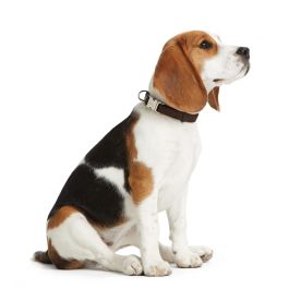 Hunter Collar Vario Basic Alu-Strong para Perro de Nylon Suave, Resistente y Ajustable, Cierre ALU-STRONG, M 30-45 cm, Rojo