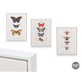 Cuadro Lienzo Marco Blanco Mariposa Surtidos Giftdecor 30X40CM (3 Unidades) Precio: 30.50000052. SKU: B1CY7834QW